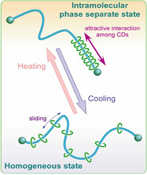 ポリロタキサンの分子内転移現象